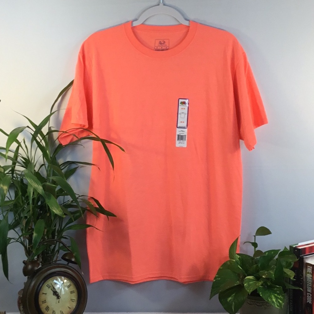🇺🇸🇺🇸FRUIT OF THE LOOM TEES—NWT🇺🇸🇺🇸